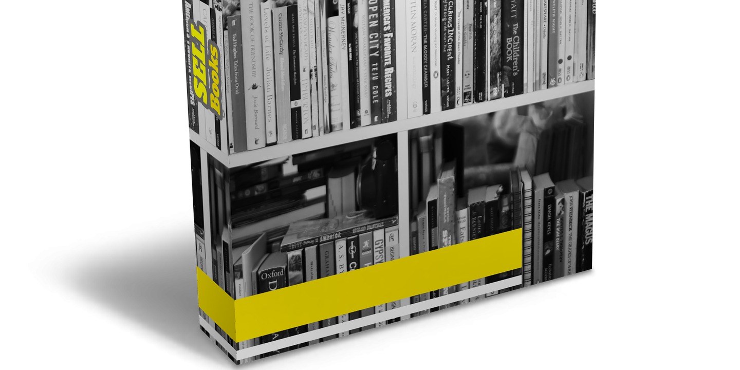 Translate books and make money